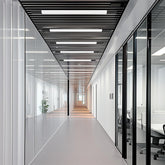 Modern office hallway with glass walls and ceiling lights